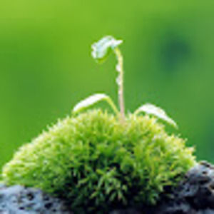 Meet your Posher, Dani